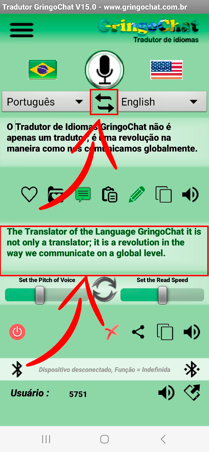 Tradutor de Idiomas GringoChat Traduzindo uma Conversa Q10